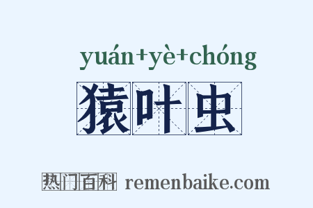猿叶虫是什么意思的图片